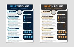 how to write a professional CV