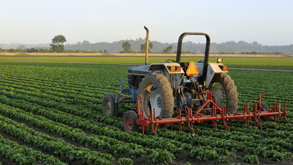 profitable agribusiness ideas